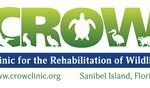 Clinic for the Rehabilitation of Wildlife
